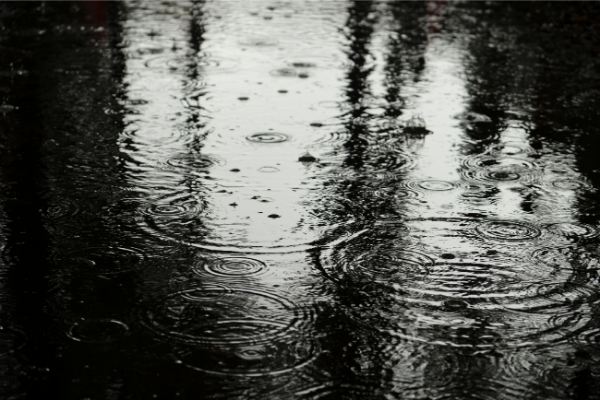 雨によってできた水たまり